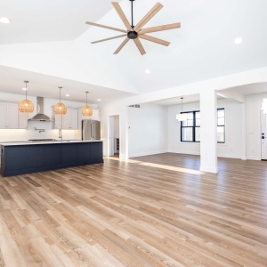 Living Room / Kitchen