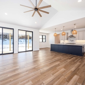 Living Room / Kitchen