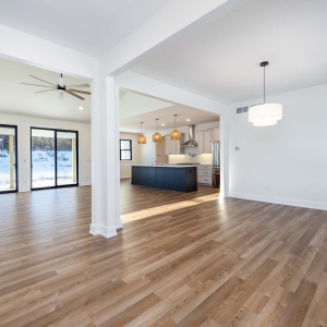 Living Room / Kitchen / Living Room