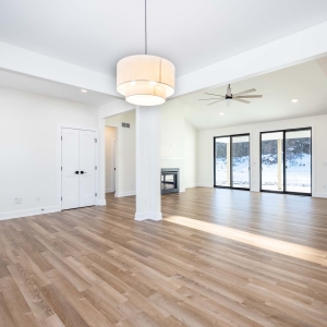 Living Room / Kitchen / Living Room