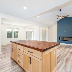 Kitchen / Family Room